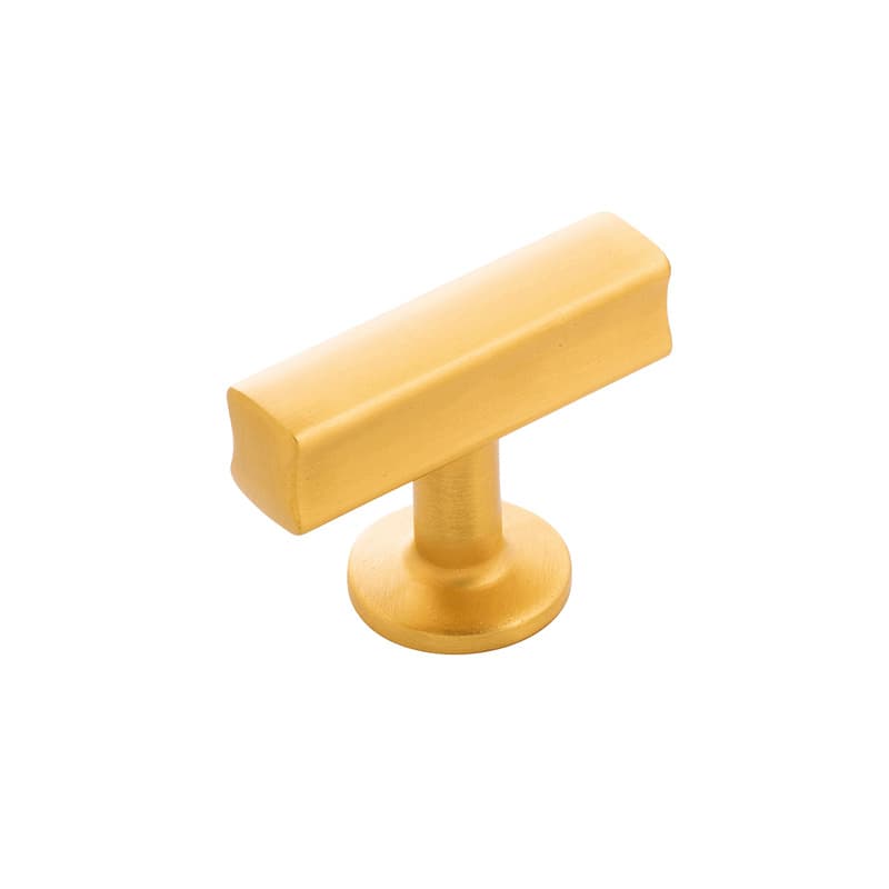 PRO LUXE Lakeside Brushed Golden Brass 1-1/8" (29 mm) L x 1-1/8" (29 mm) W Knob, SZ146BGB