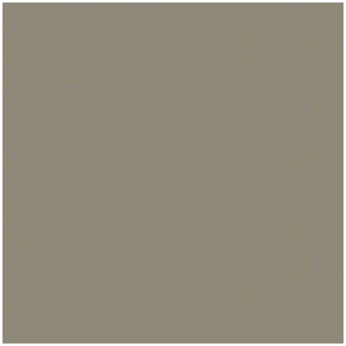 Rehau PVC Edgebanding 15/16" x 1 mm, Ashen, 600', 302474 035