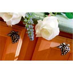 Top Knobs Nature Series 2 in (51 mm) L x 1-3/4 in (44 mm) W Burnished Bronze Knob, - 2173-BB