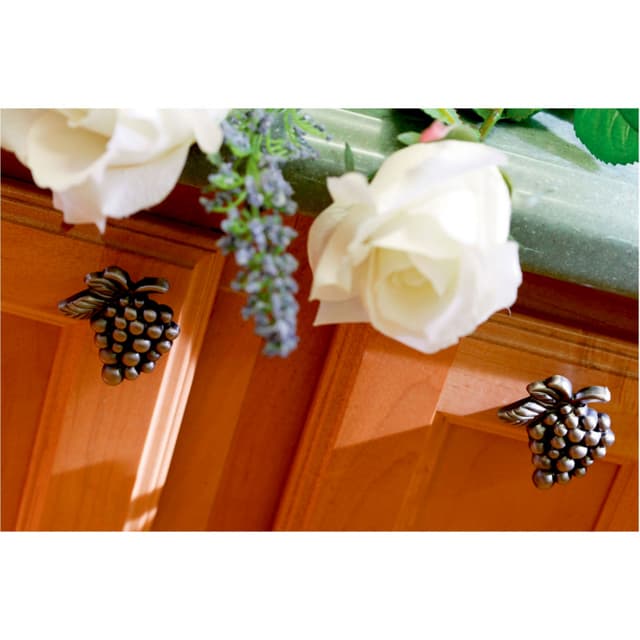 Top Knobs Nature Series 2 in (51 mm) L x 1-3/4 in (44 mm) W Burnished Bronze Knob, - 2173-BB