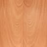African Mahogany