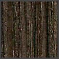 Dolken PVC Edgebanding, Latitude South