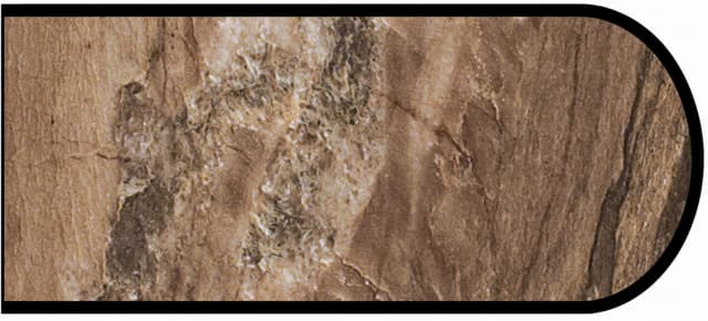 Formica Bullnose Profile High Pressure Laminate Ideal Edge Molding, Dolce Macchiato 3478, Etchings Finish