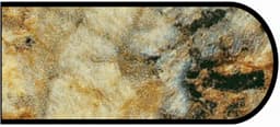 Formica IdealEdge 3465-11 Golden Mascarello Satin Touch Finish Bullnose Edge Molding, 1-1/2" H x 144" L