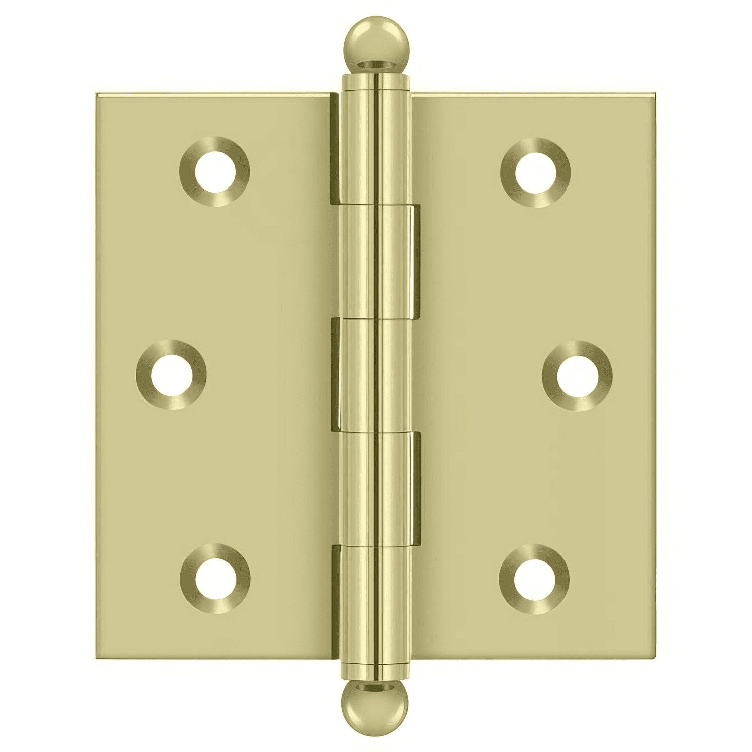 Full Mortise Hinges