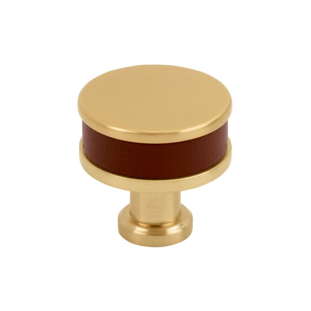 Amerock Fairlane Series Brown Leather/Champagne Bronze 1-1/4 in (32 mm) Diameter Knob, BP37535BRLCZ
