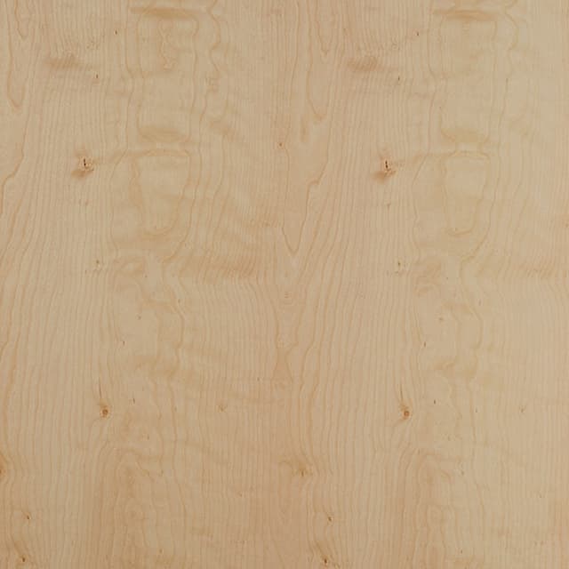 3/4 in (19 mm) Domestic Birch