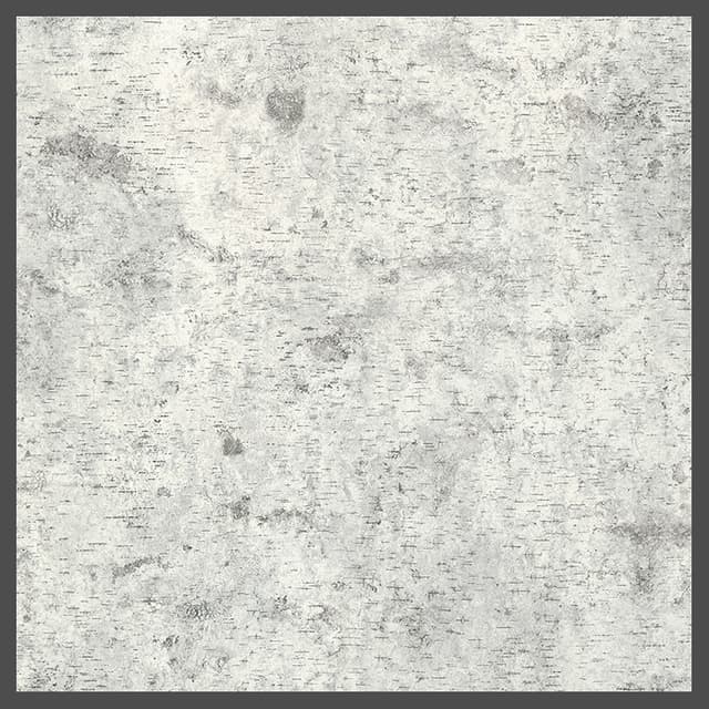 Formica High Pressure Laminate, 8684 Birchbark, Matte Finish