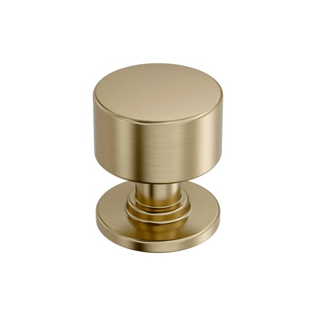 Amerock Balon Series Golden Champagne 1-1/8 in (29 mm) Diameter Knob, BP37492BBZ