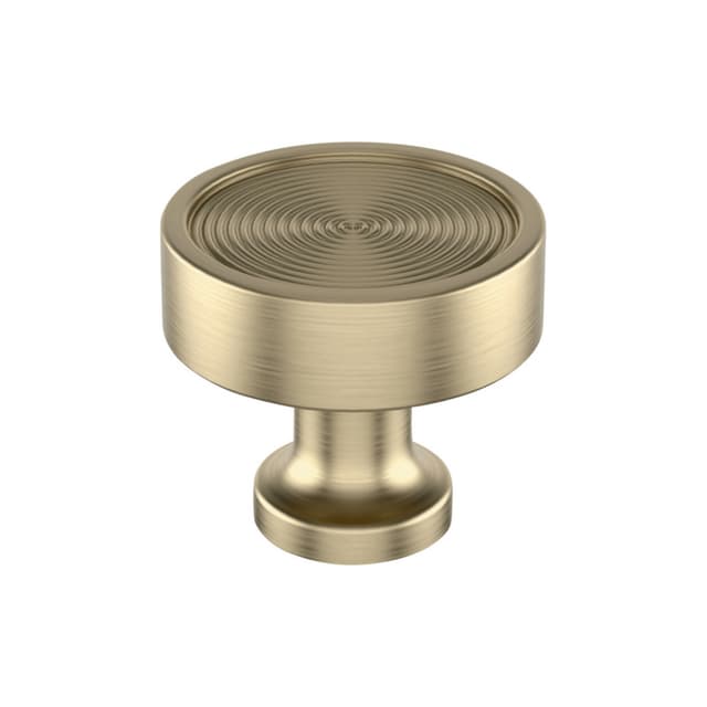 Amerock Dupont Circle Series Golden Champagne 1-1/4 in (32 mm) Diameter Knob, BP37501BBZ
