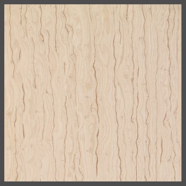 Silver Ash Figured, 62807