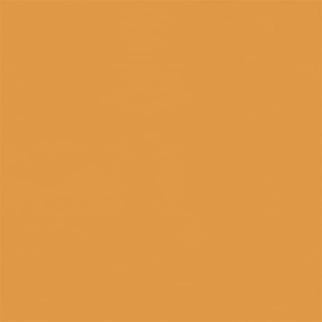 Formica 1193 Gold Braze, Polished Finish High Pressure Laminate (HPL)