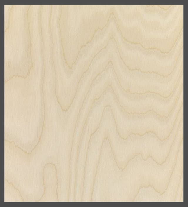 1 in Domestic Poplar, Garnica