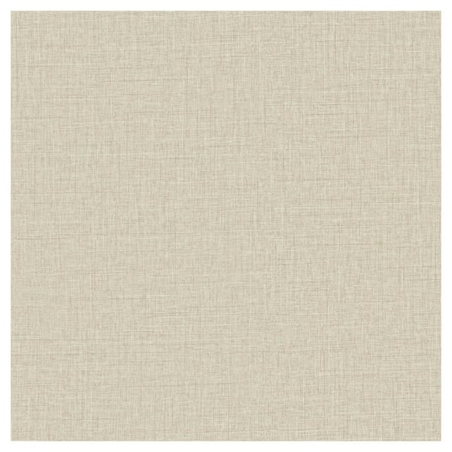 ABS, Salt International