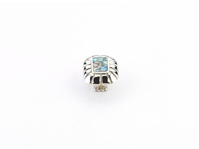 Schaub Imperial Shell Rectangular Knob, 1-1/2" x 1-1/4", Polished Nickel - 851-IM-PN