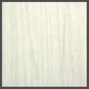 Winter Fun, T2004 Laminate