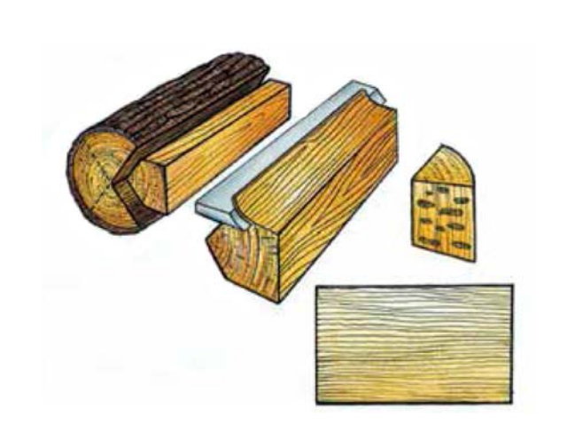 quarterslice The Würth Baer Facts Blog Quarter Cut